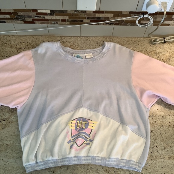 Vintage Hang Ten Pastel Shirt Lightweight Sweatshirt Size Large Short Sleeve - Picture 1 of 7